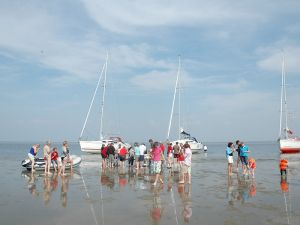 In Friesland verhuren ze zeiljachten met een ophaalbare kiel of midzwaard zodat je dwars door ondiepe moerasgebieden als Nationaal Park De Alde Feanen (Earnewâld) kunt varen en kunt droogvallen in de Waddenzee, UNESCO Werelderfgoed.